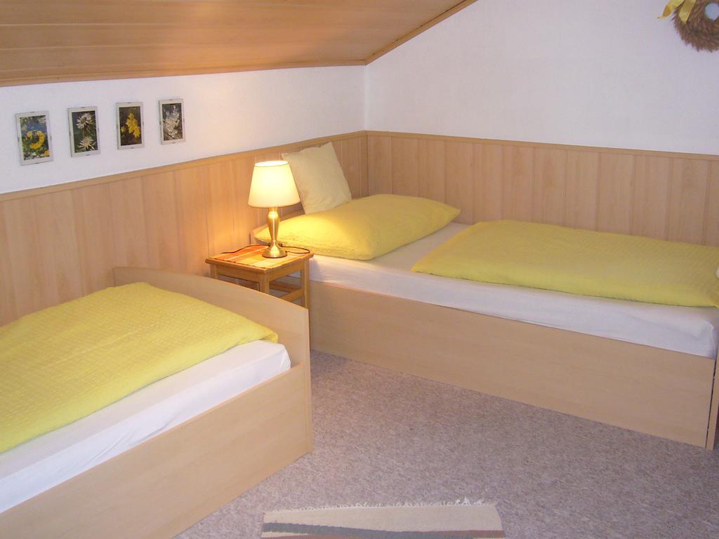 Ferienwohnungen Haus Peer バート・ゴイーザーン 部屋 写真
